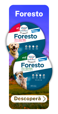 FORESTO - GAMA COMPLETA VETERINARE